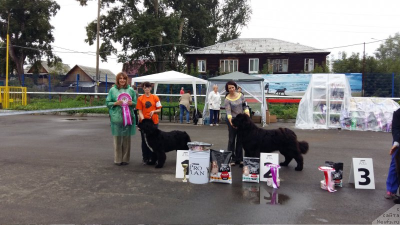 Фотография № 213645