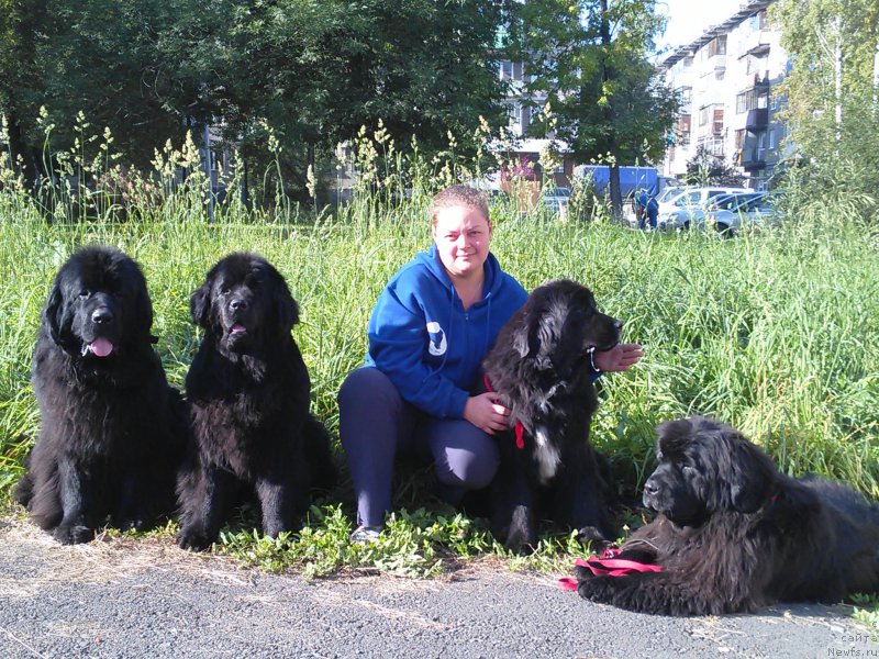 Фотография № 213646