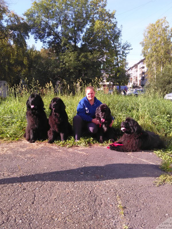 Фотография № 213647