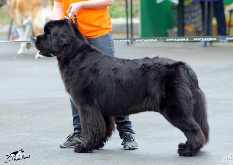 Фотография № 213654