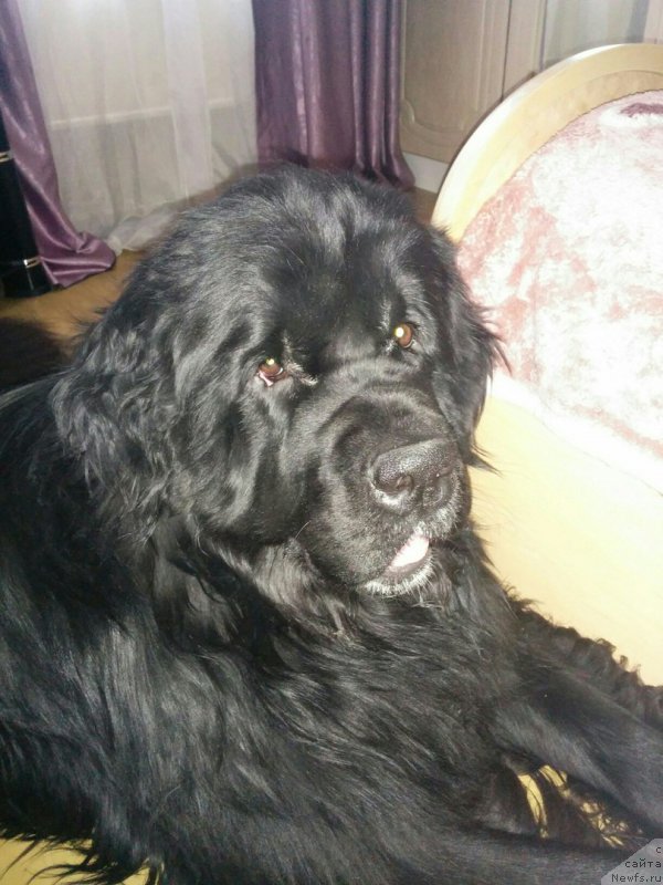 Фотография № 213676