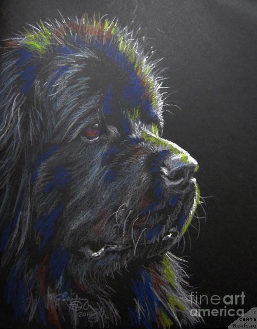 Фотография № 213688