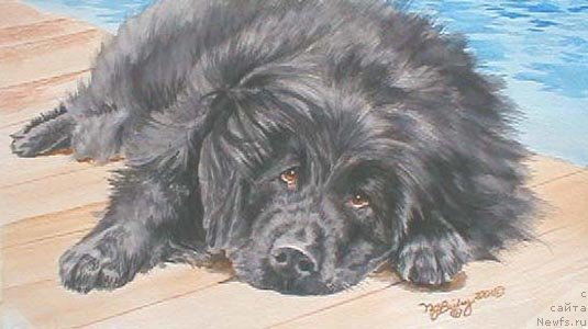 Фотография № 213689