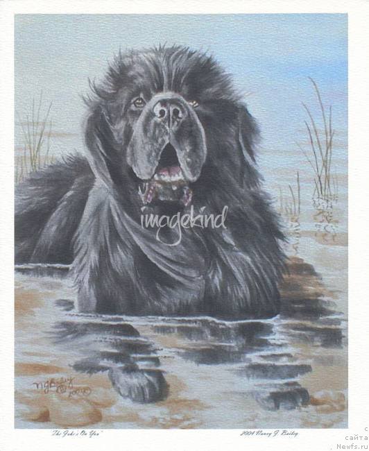 Фотография № 213691