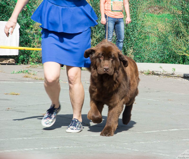 Фотография № 213695