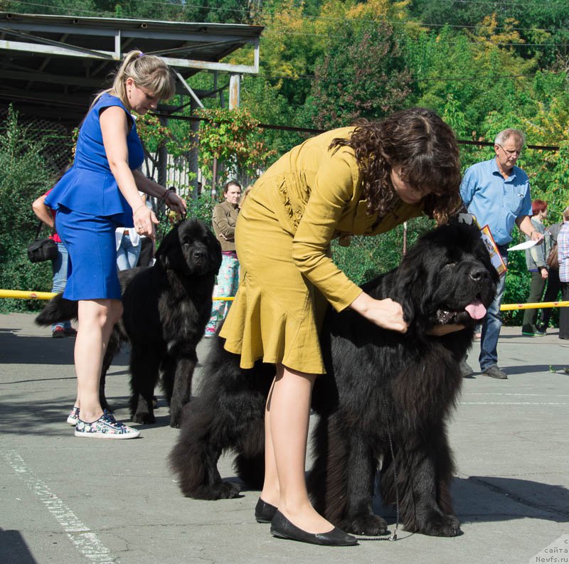 Фотография № 213699