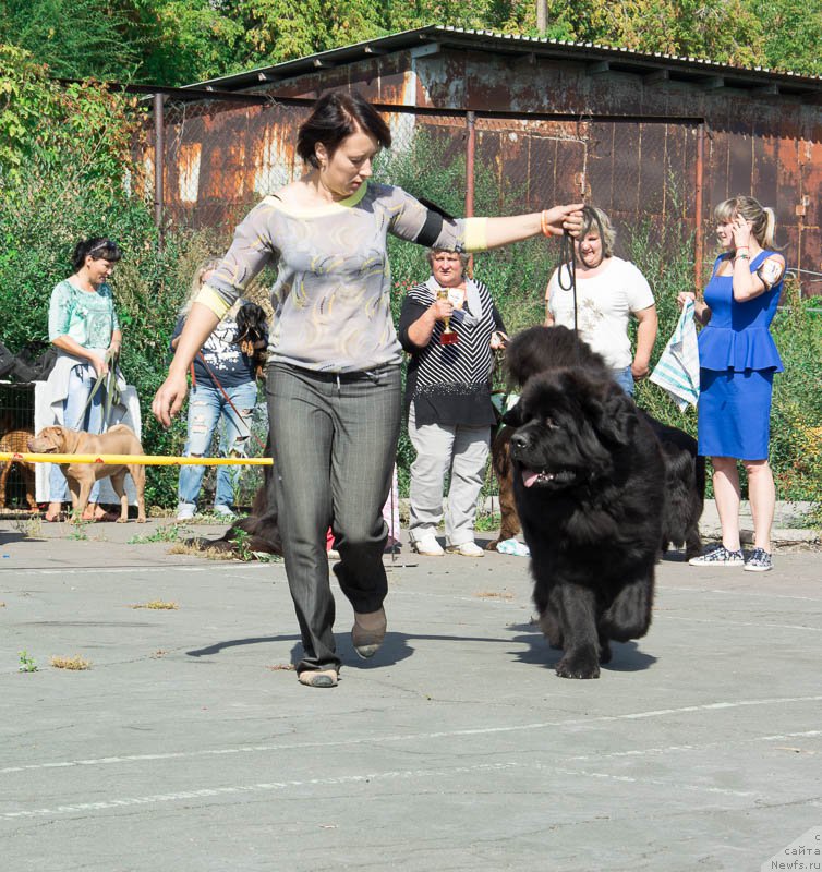 Фотография № 213703