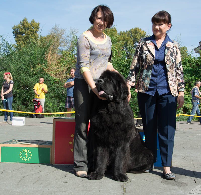 Фотография № 213704