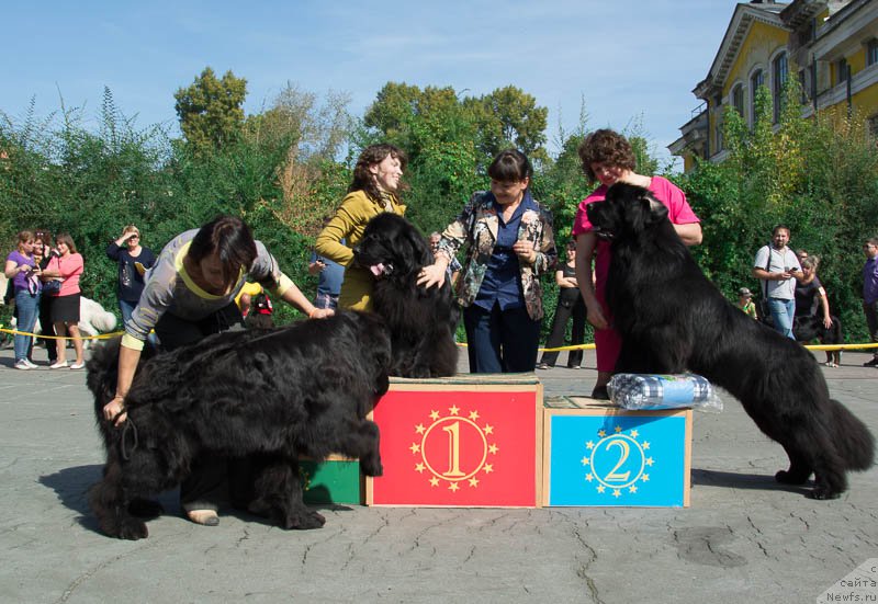 Фотография № 213705