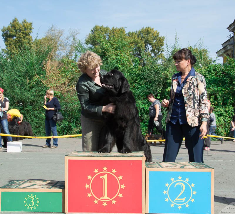 Фотография № 213707