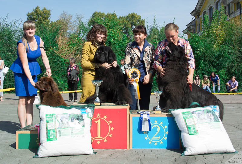 Фотография № 213712