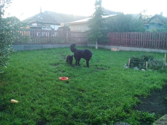 Фото: [d16369] и Зара