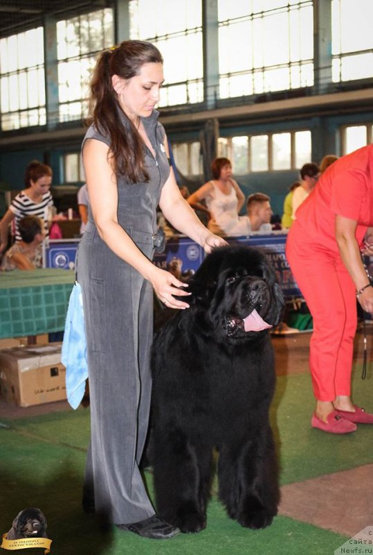 Фотография № 213743