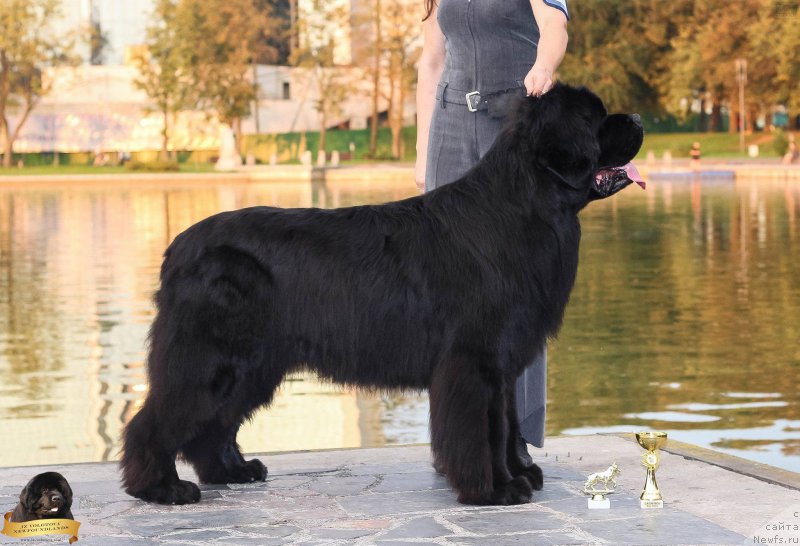 Фотография № 213744