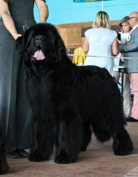 Фотография № 213745