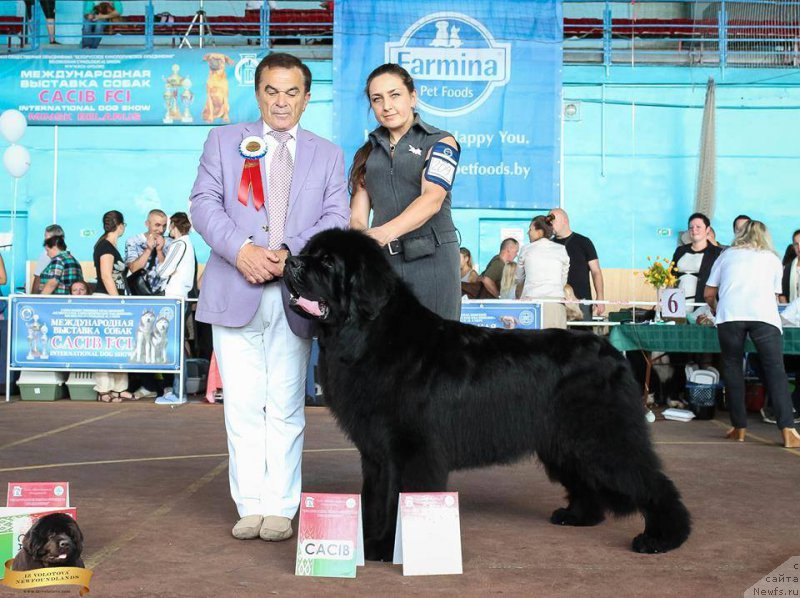 Фотография № 213746