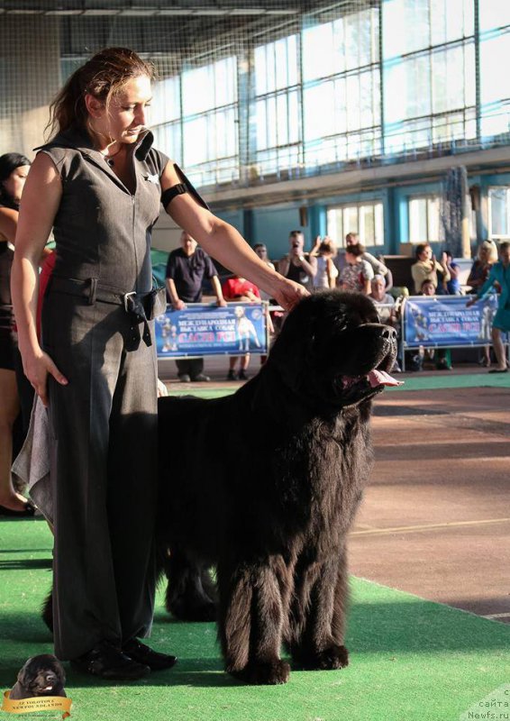 Фотография № 213747