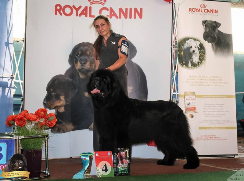 Фотография № 213748