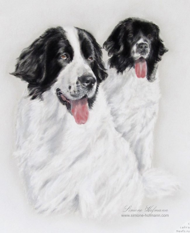 Фотография № 213751