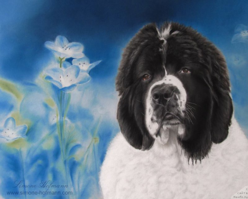 Фотография № 213752