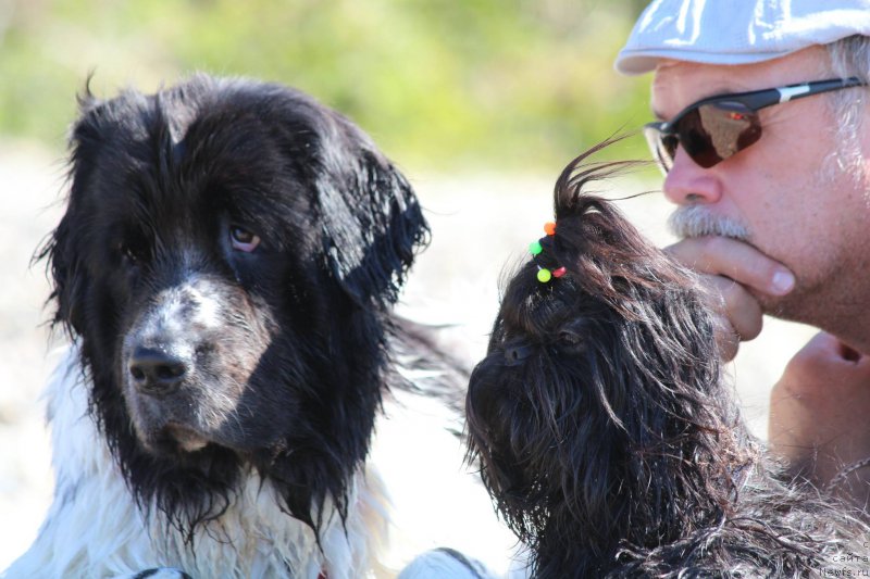 Фотография № 213757