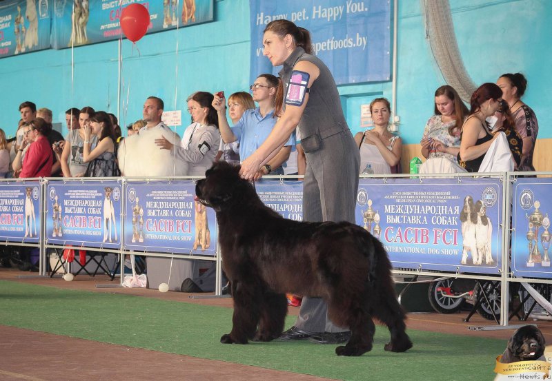 Фотография № 213758