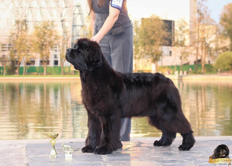 Фотография № 213759