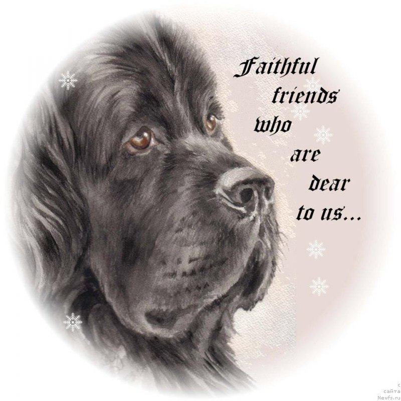 Фотография № 213761