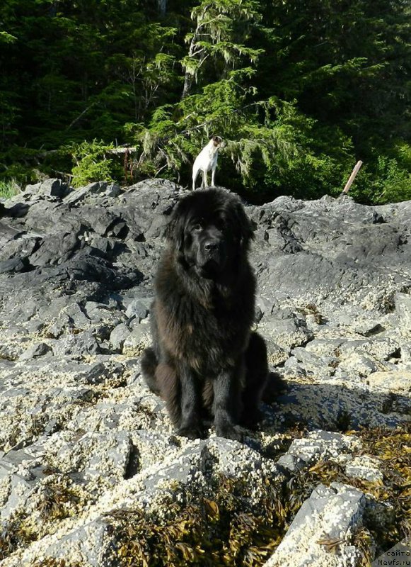 Фотография № 213765