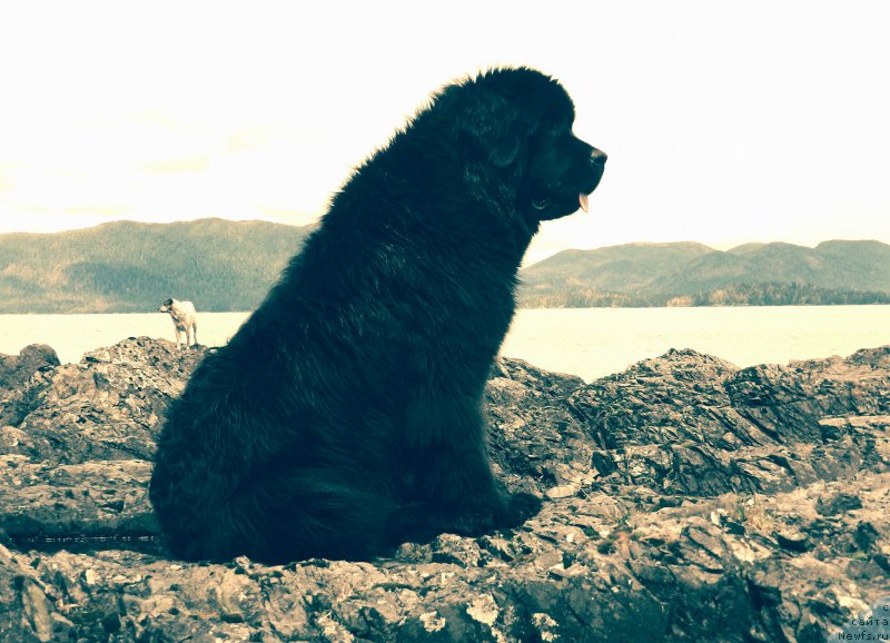 Фотография № 213768