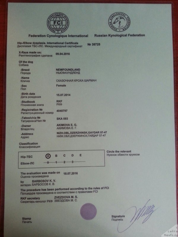 Фото: Елена Акимова