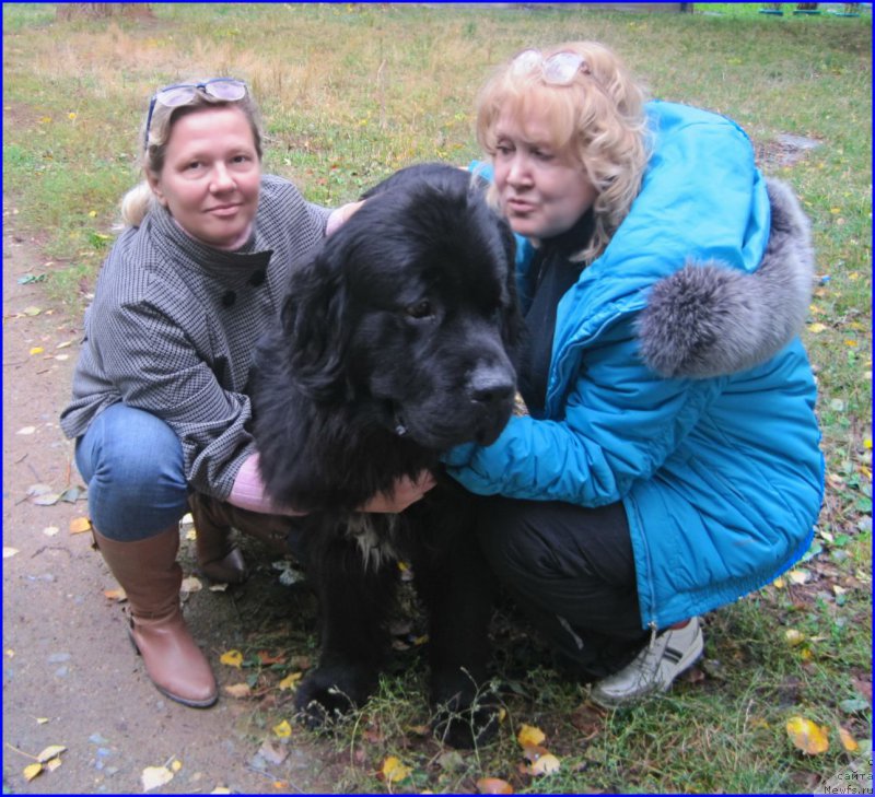 Фотография № 213812