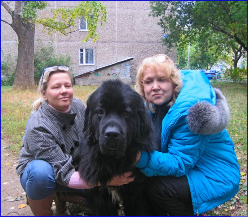 Фото: ньюфаундленд Супер Бизон Норберто, Лена Зырина, Таня