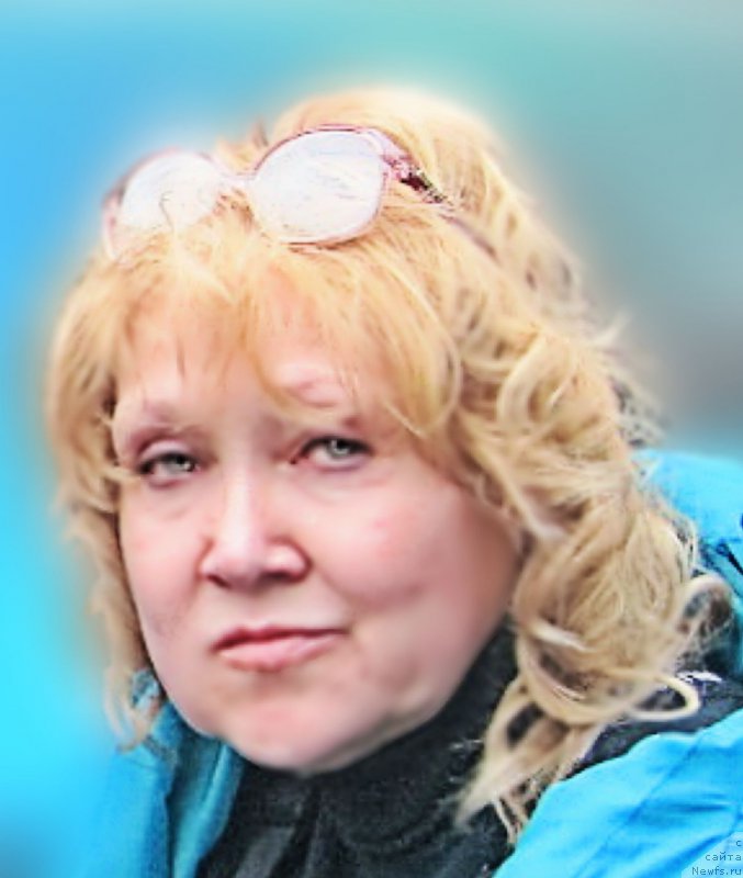 Фотография № 213818