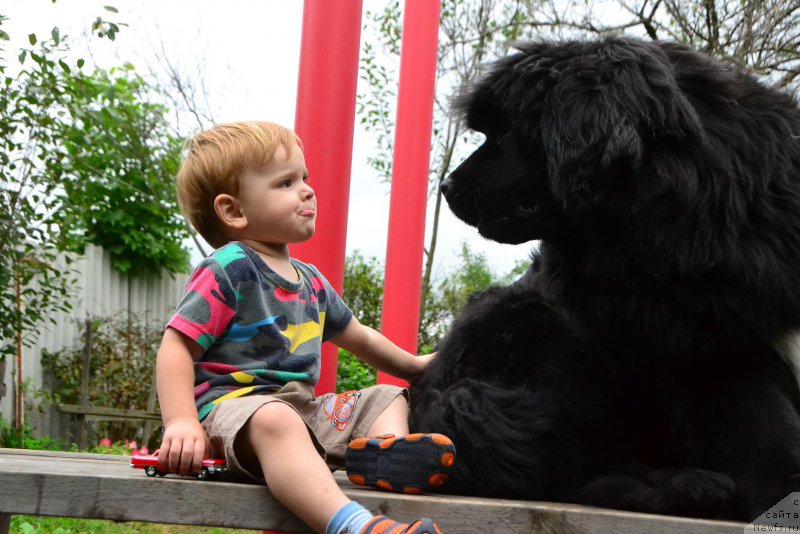 Фотография № 213830