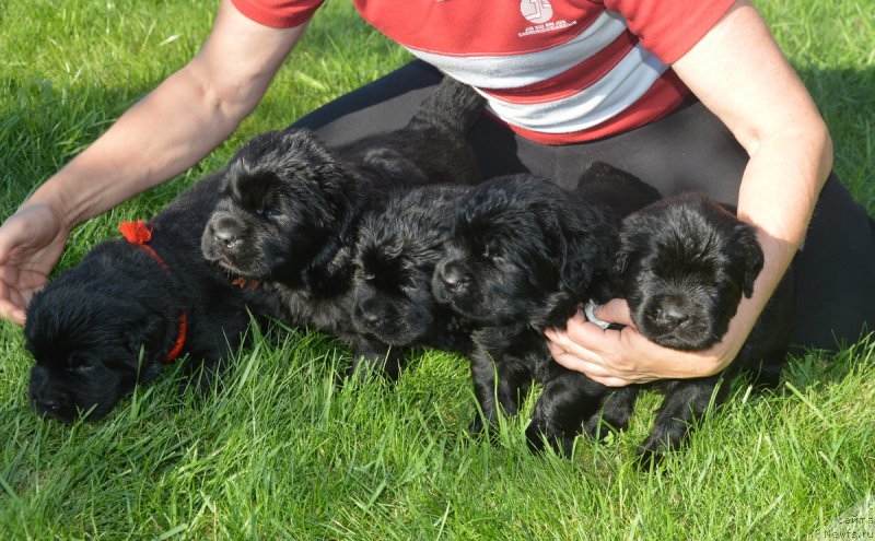 Фотография № 213839