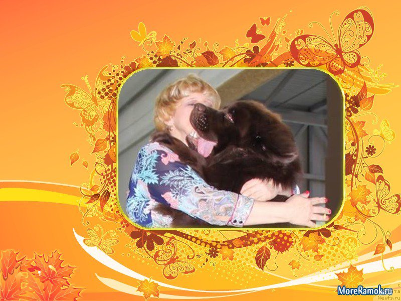 Фото: Светлана Панченко