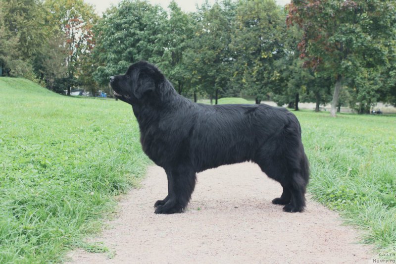 Фотография № 213841