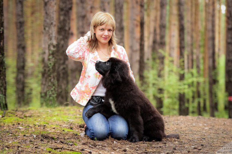 Фото: ньюфаундленд Сент Джонс Чеерфул Колорс оф Лайф (Sent Djons Cheerful Kolors of Life)