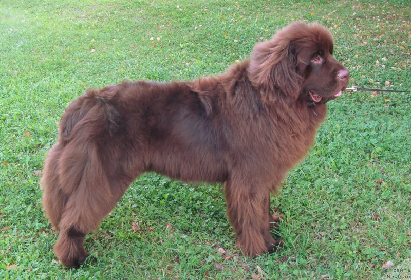 Фотография № 213881