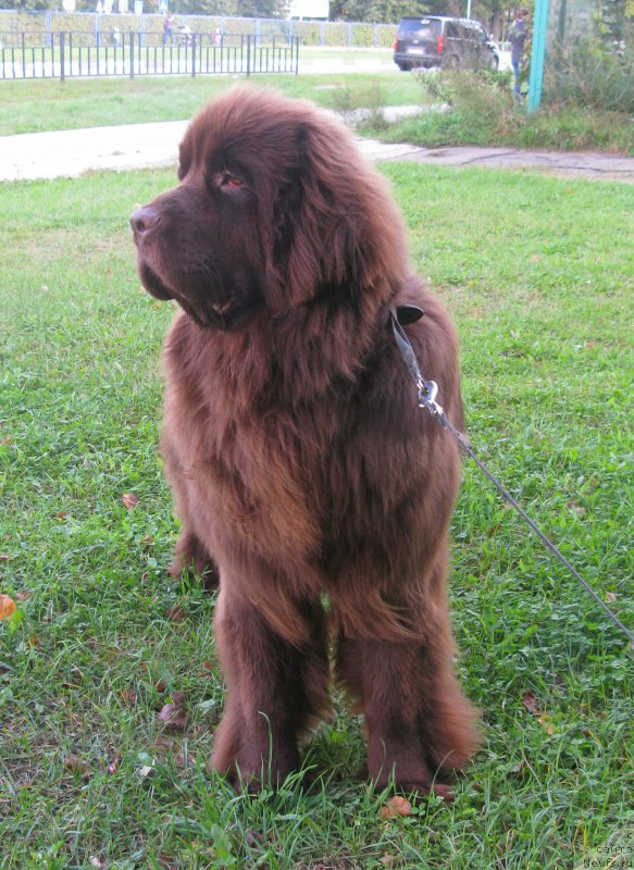 Фотография № 213882