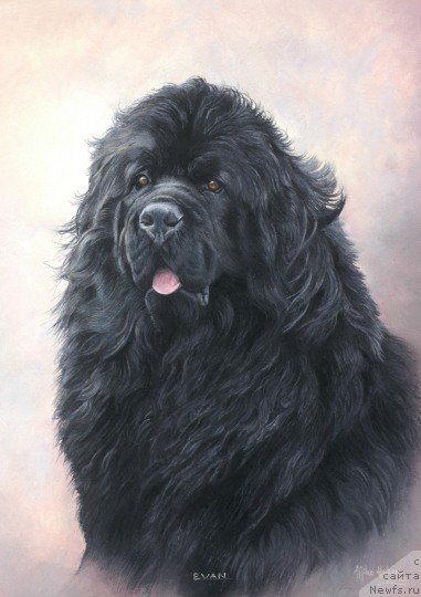 Фотография № 213894