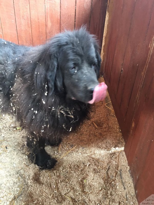 Фотография № 213908