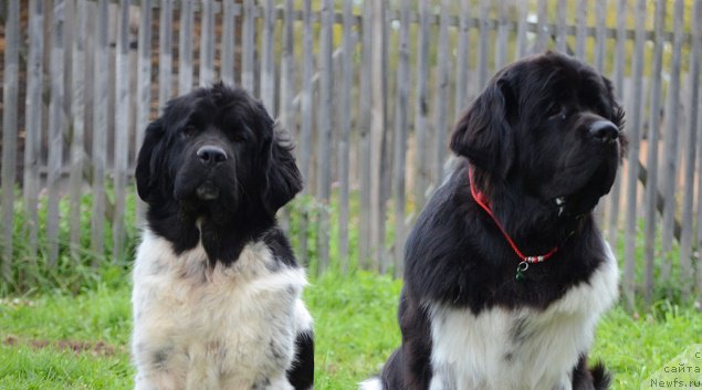 Фотография № 213961