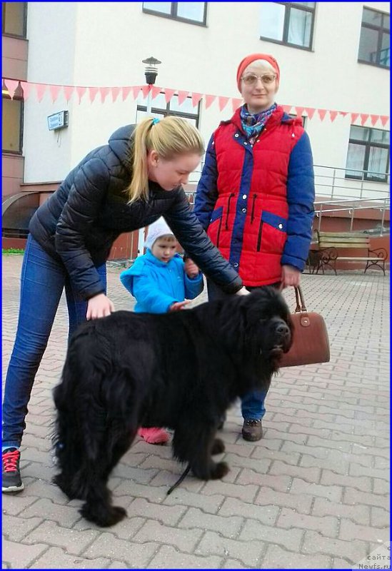 Фотография № 213989