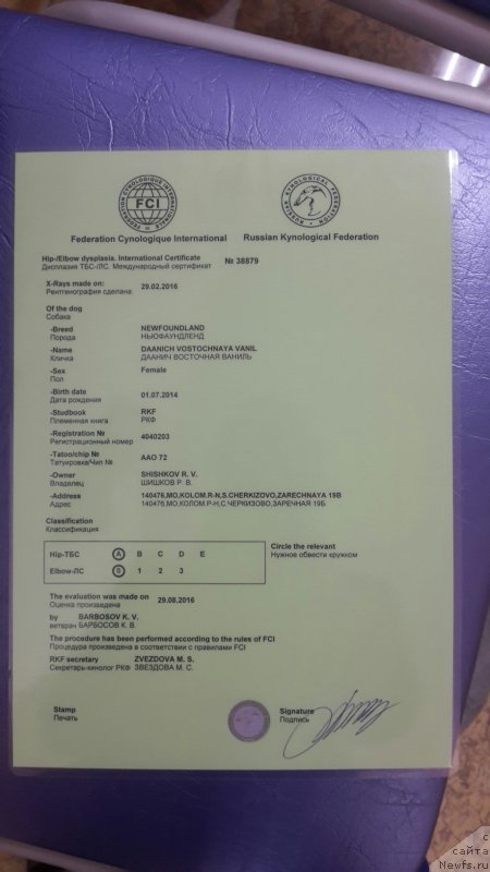 Фотография № 214034