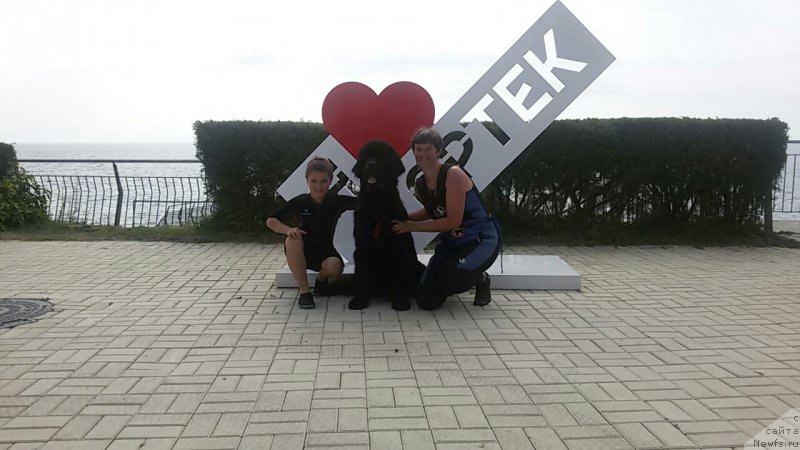 Фотография № 214066