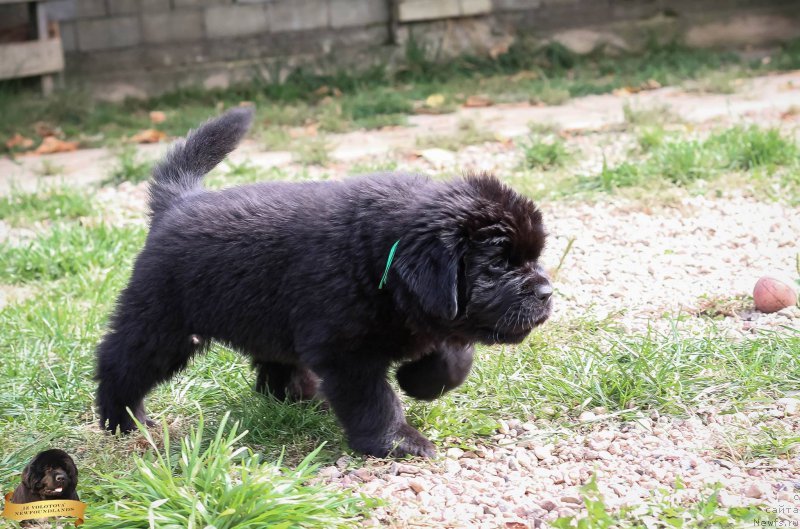 Фото: Виктор Хрищанович