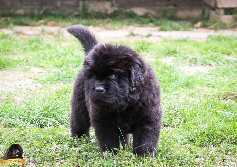 Фотография № 214077