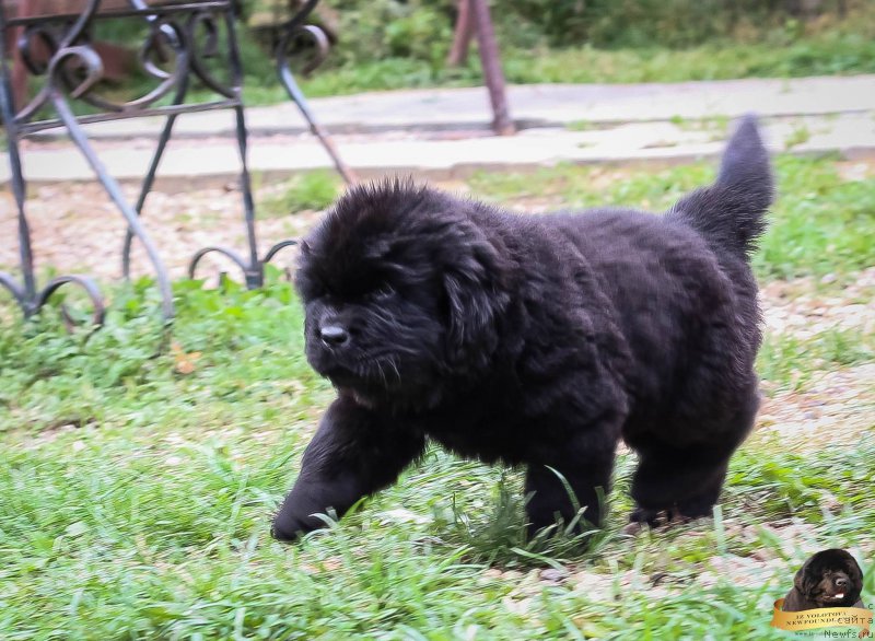 Фото: Виктор Хрищанович